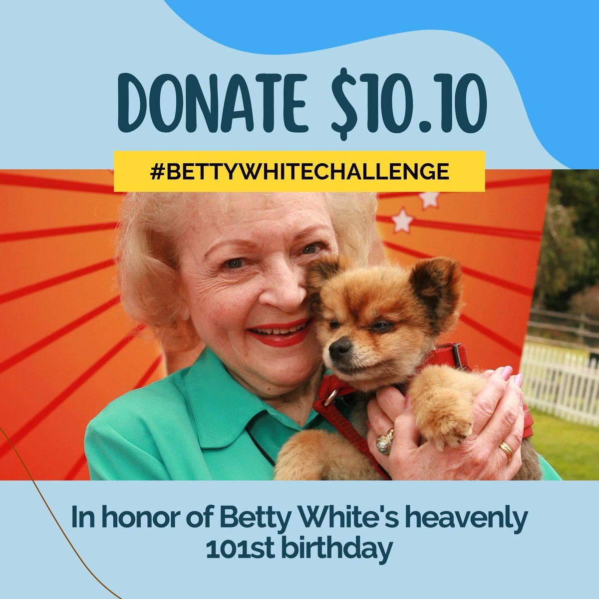 Today is Betty White's heavenly birthday! In honor of her love for animals, please consider donating $10.10, as she would have been 101 years old today. ❤️🐶   #bettywhitechallenge 

Donate here: flcas.org/donate or Venmo @FLCAS.