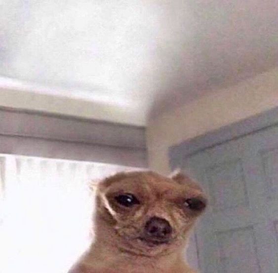 AAAAh LAUREN JAUREGUI VA VENIR A MÉXICO WEY, OJALA SI ME TOQUE BOLETOS 😩