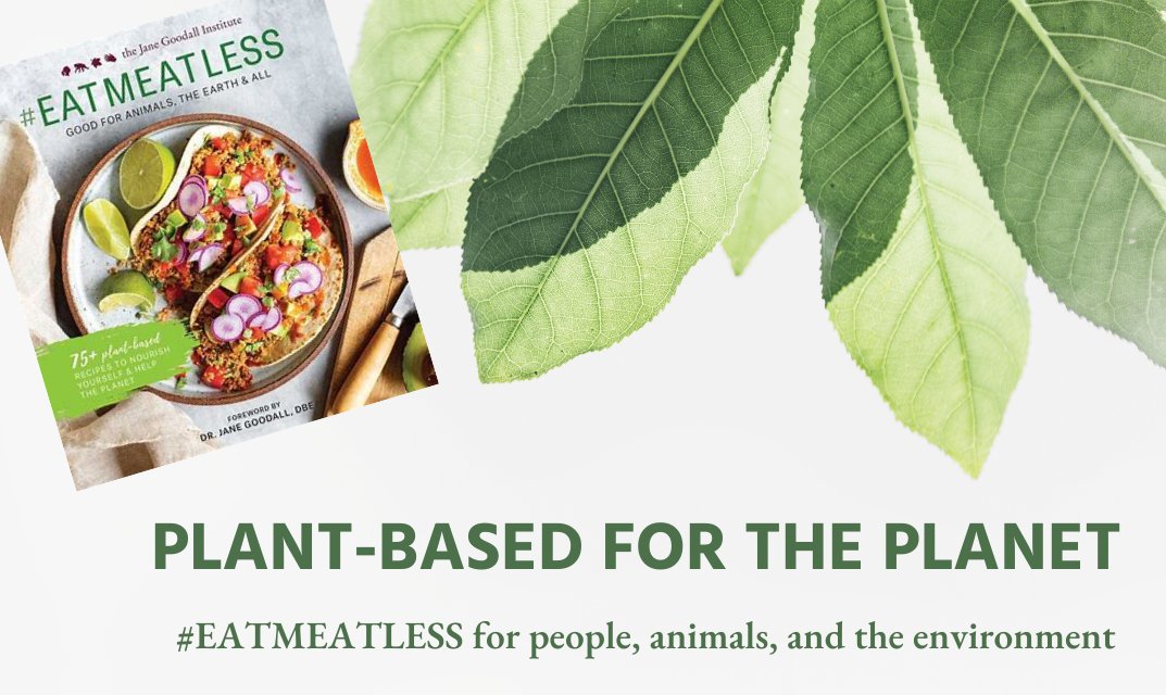 JaneGoodallInst's tweet photo. New year, new YOU - did you know that changing your lifestyle doesn't have to be a total upheaval to be totally revolutionary? Join us and Jane to #EATMEATLESS for people, other animals, + the planet we share>> https://t.co/1WEutWx1kN 

#plantbased #goodforall #veganuary https://t.co/990P0vNyZl
