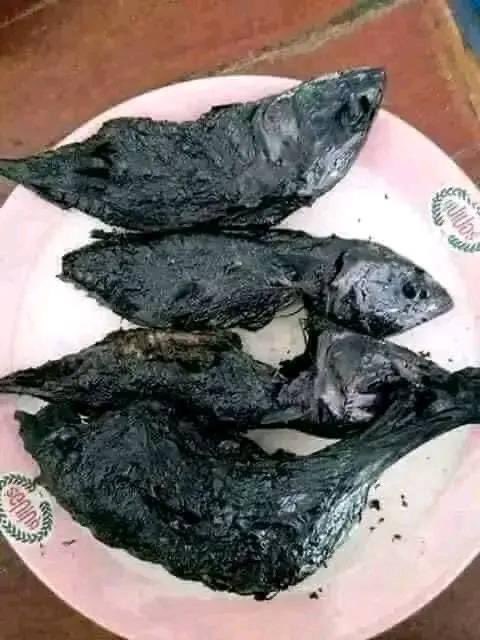 El__hafiz's tweet photo. fried fishes from amaryar abba #andaura'#andau😋🤭 https://t.co/H9I6077lnM