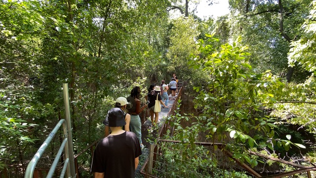 Integrative Biology tweet media