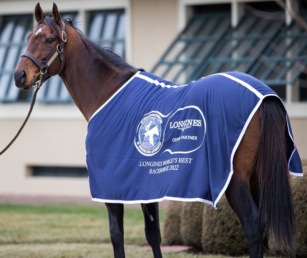sadlerracing's tweet photo. To the best team in racing! Thank you to my training team and each and every member of our barn. History was made today because of you. Flightline will go down in history as The Best Racehorse In The World. Thank you. I will be forever grateful. @johnwsadler 
@worldsbesthorse https://t.co/1y5hSzMxmQ