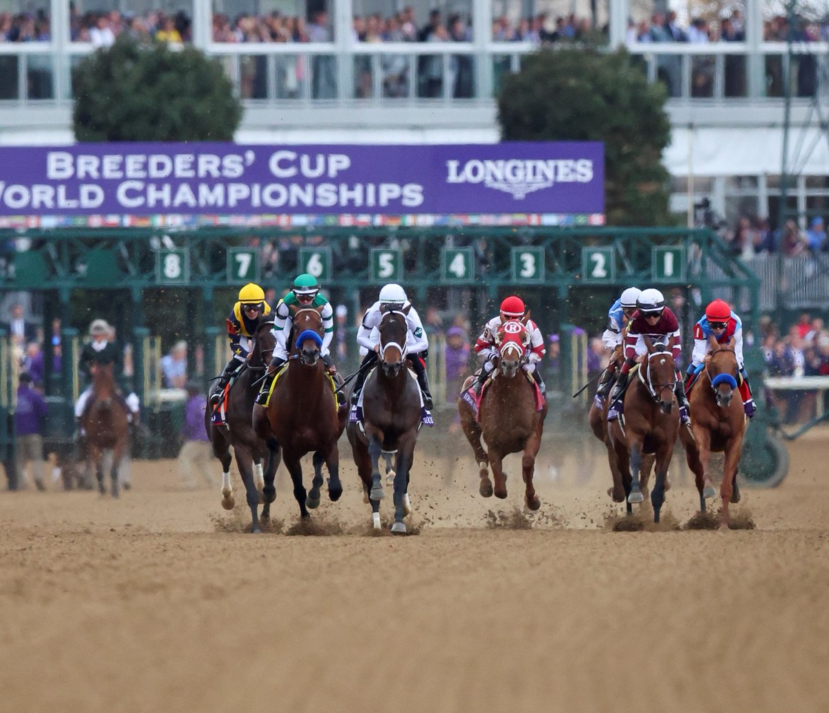 sadlerracing's tweet photo. To the best team in racing! Thank you to my training team and each and every member of our barn. History was made today because of you. Flightline will go down in history as The Best Racehorse In The World. Thank you. I will be forever grateful. @johnwsadler 
@worldsbesthorse https://t.co/1y5hSzMxmQ