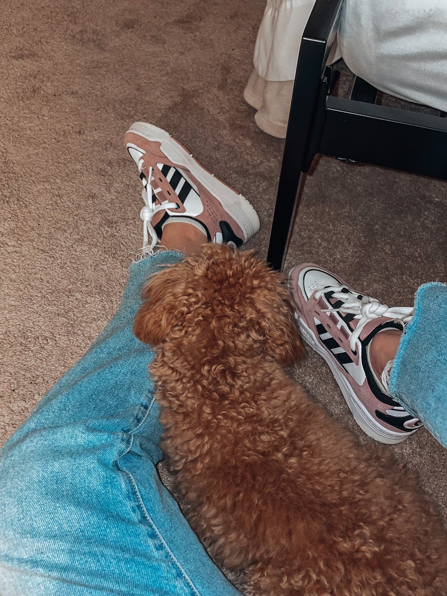 🧸🧸🧸🧸