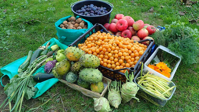 WilliamMackerr1's tweet photo. Healthy eating is not about perfection, it's about making better choices most of the time. https://t.co/fky0ls1Fgw #eating #Health #HealthyFaithChat #HealthIsWealth #weightloss #nsfwtw #massage_in_riyadh #massage  #Davos #Defeating #COSMICFURY #chainsawman118 #chainsawman118 https://t.co/nh99UOyiPh