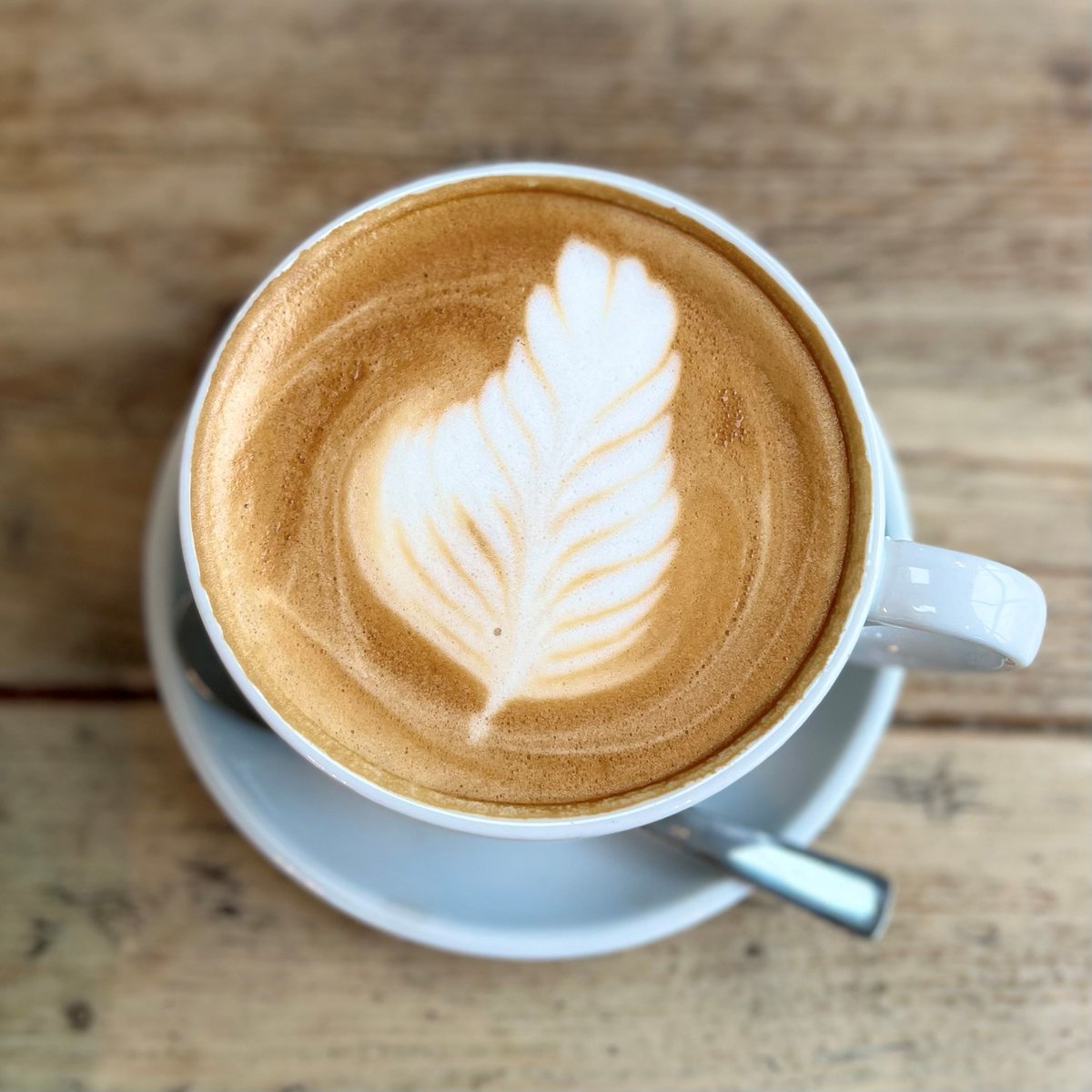 ludlowkitchen's tweet photo. Winter warmer at Ludlow Kitchen ☕ enjoy any hot drink and get a refill for just £1 in January - the perfect treat on a cold winter's day!

Available every day, from 8am - 4pm https://t.co/NDWPDnNeig https://t.co/fSffu9qpZd
