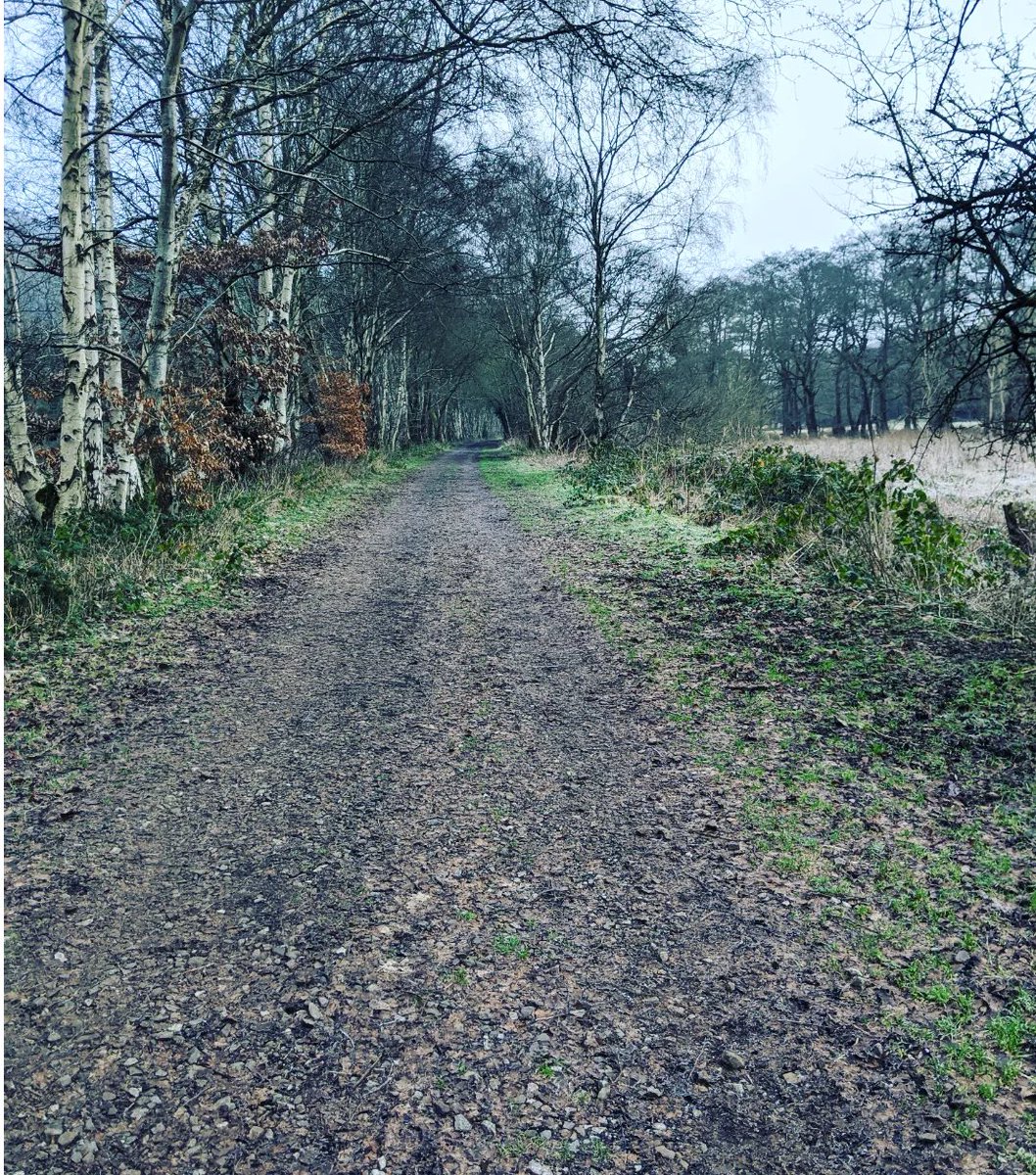 CWielding's tweet photo. Dimmingsdale 😍 #dimmingsdaleforest
#forsestwalk @EnjoyStaffs #alton #walking #freshair @MoorlandWalks https://t.co/eA9gsBF5GN