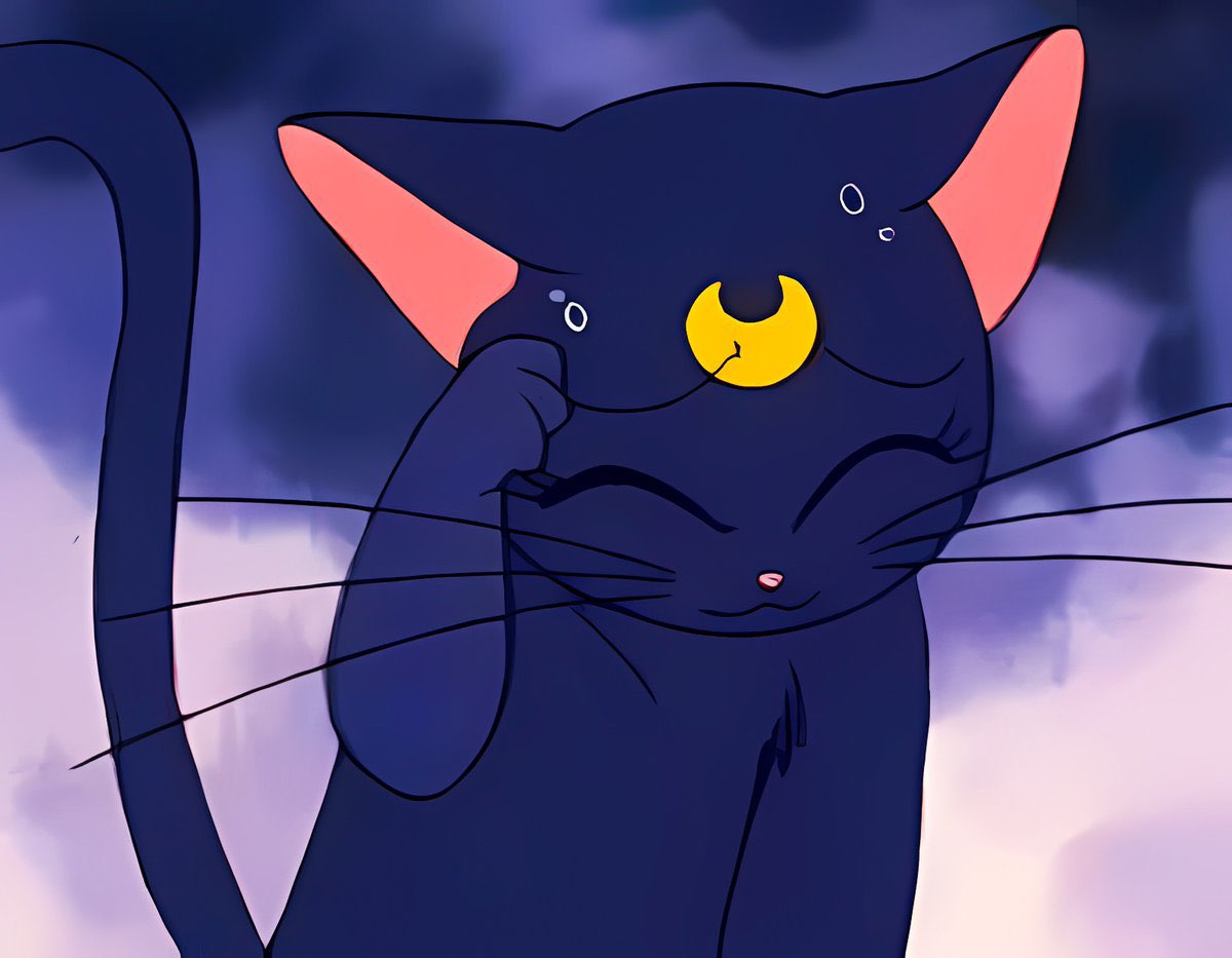 retro_anime's tweet image. 90’s anime cats
