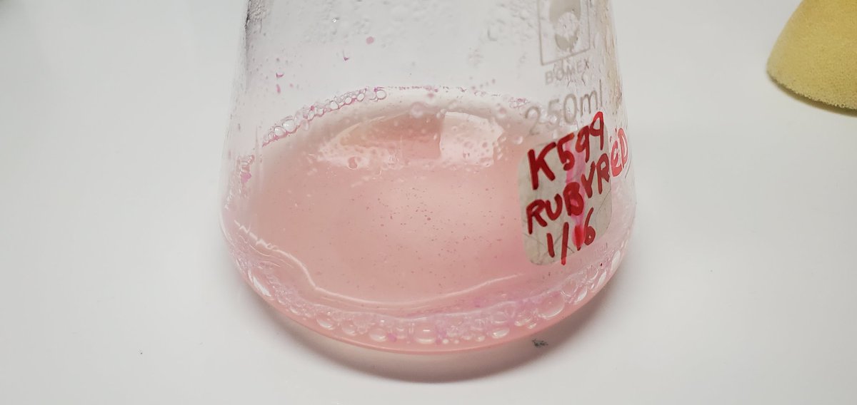 Sebastian S. Cocioba🪄🌷 tweet media