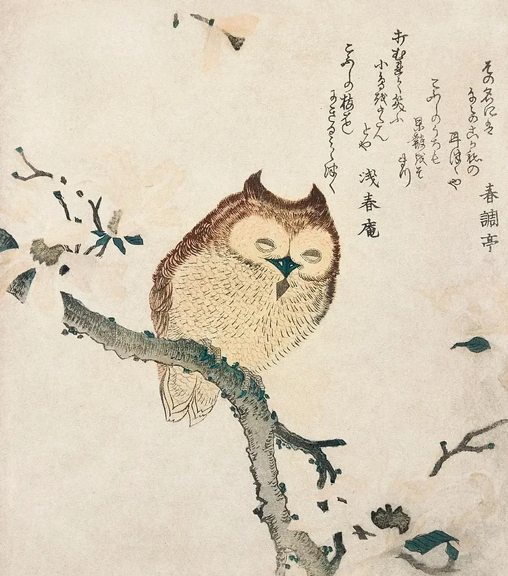 HumorArtsMuseum's tweet photo. Horned Owl on a Branch

Kubota Shunman, 19th Century, Vintage Japanese print
Original in Minneapolis Institute of Art

Shunman (1757-1820) was as famed for his writing as his remarkably detailed woodcuts. He was a left-handed printmaker, as well as a published novelist and poet. https://t.co/Aav9gQhh0U
