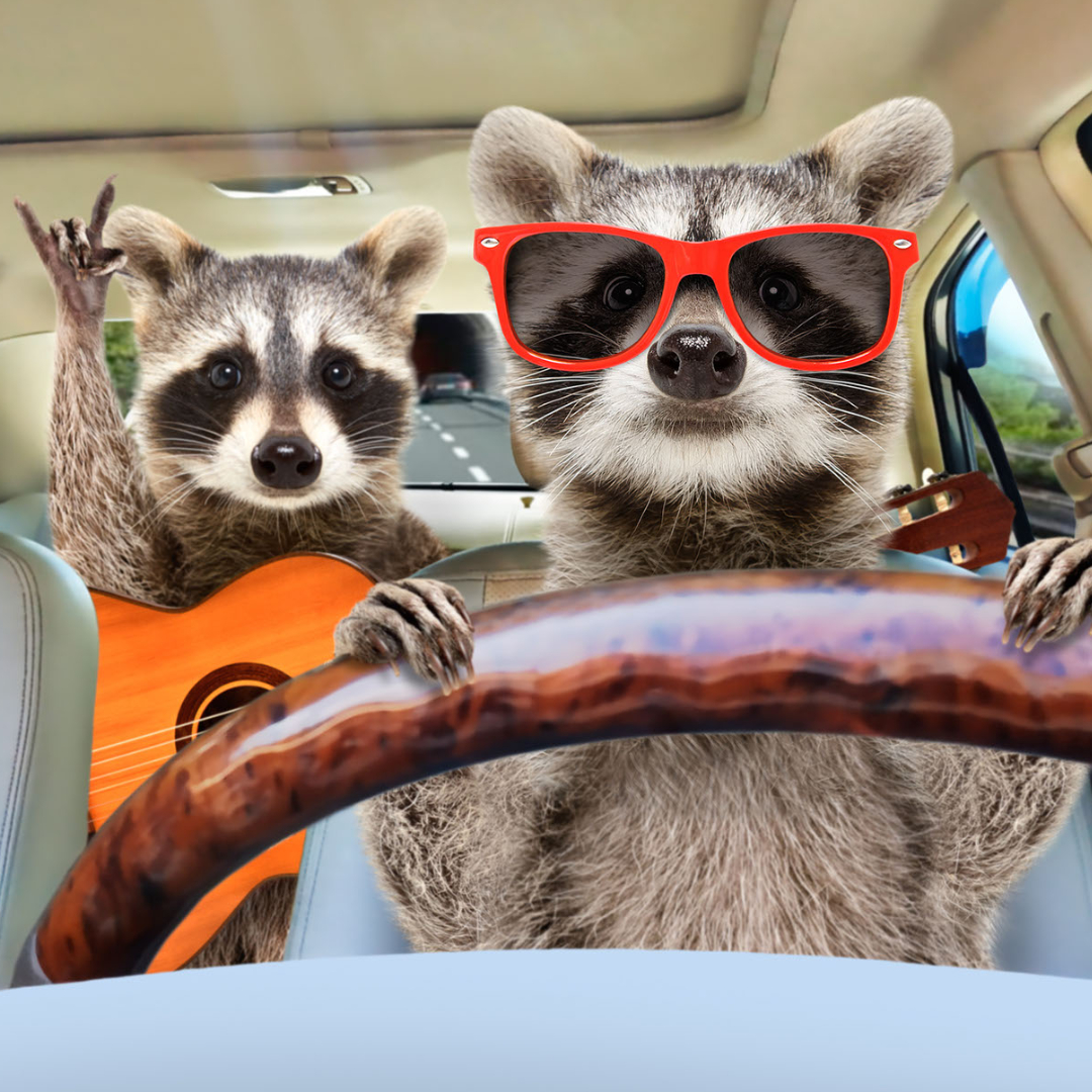 SignatureTire's tweet photo. We need your help to caption this photo! 🆘

Give us your best caption below! 👇 https://t.co/vieFjVcnS0