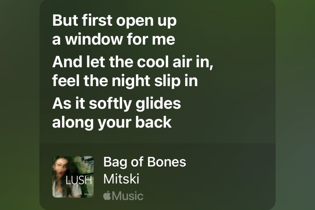 the four elements in mitski lyrics: