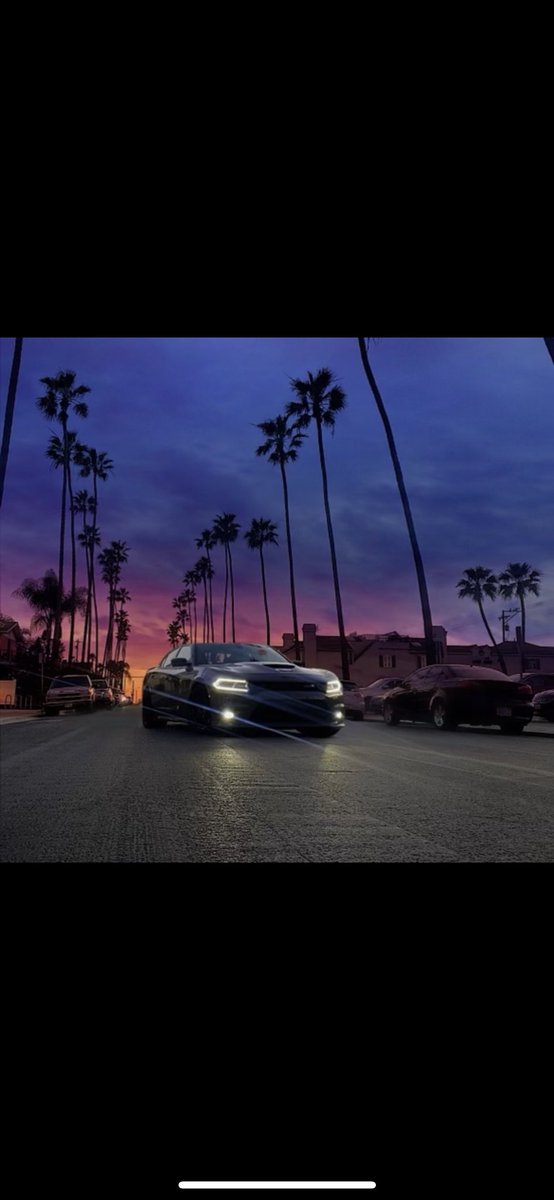 _Fredd11's tweet image. 