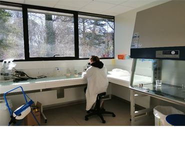 GEMFOR_INRAE's tweet photo. Un poste de https://t.co/in8eScnRTe devrait bientôt s’ouvrir dans notre équipe (@INRAE_BIOGECO)!

Sa mission : retracer et prédire les trajectoires évolutives et épidémiques de pathogènes des arbres, au cours de leur expansion en paysages hétérogènes et sous climat changeant. https://t.co/5Y3LqXZUWr