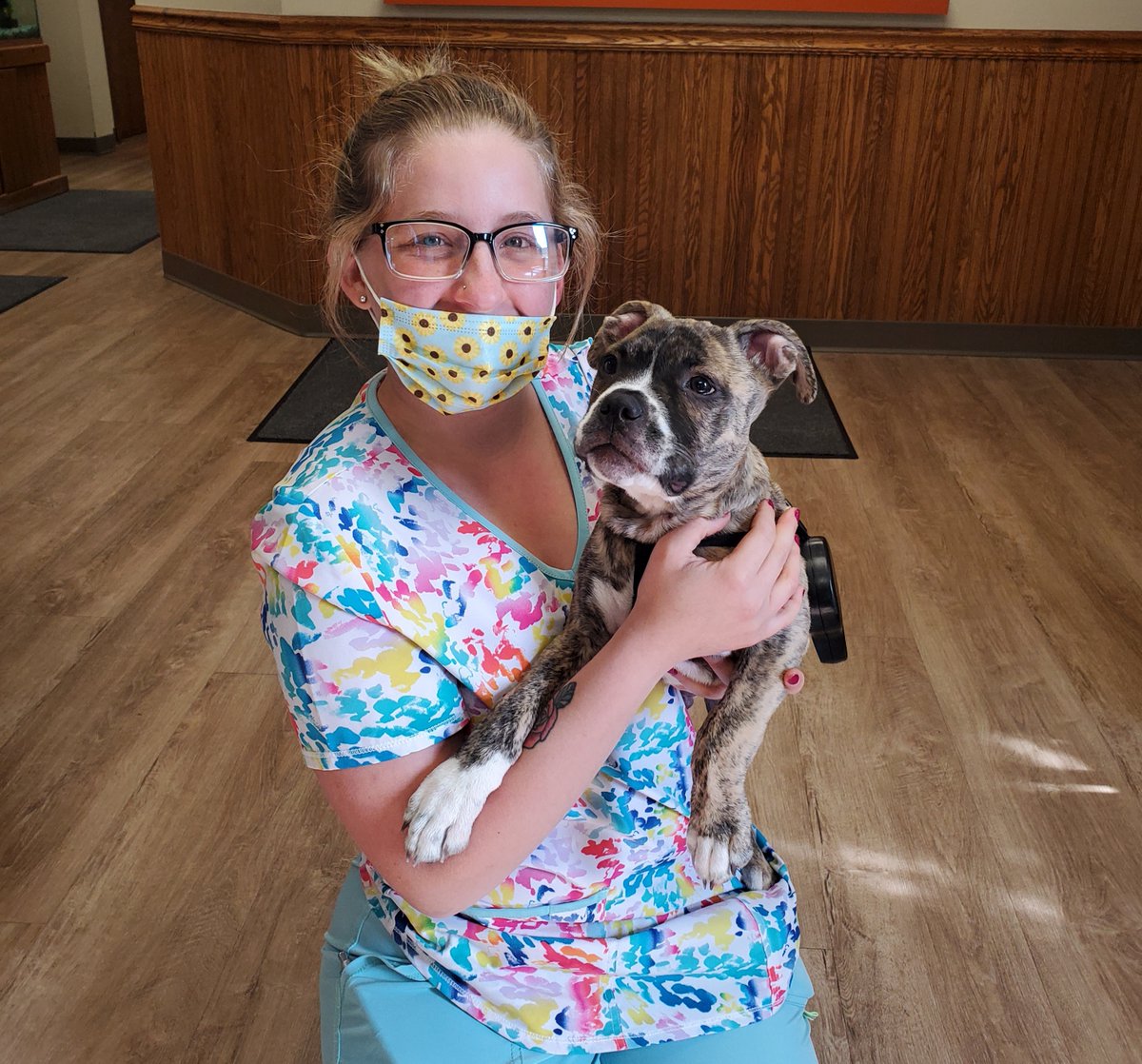 Phelps Veterinary Hospital tweet media