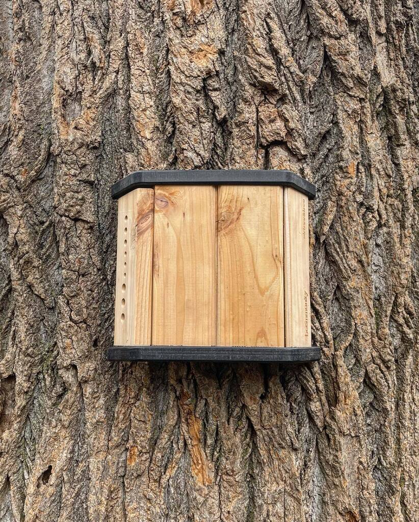 Beemmunity tweet media