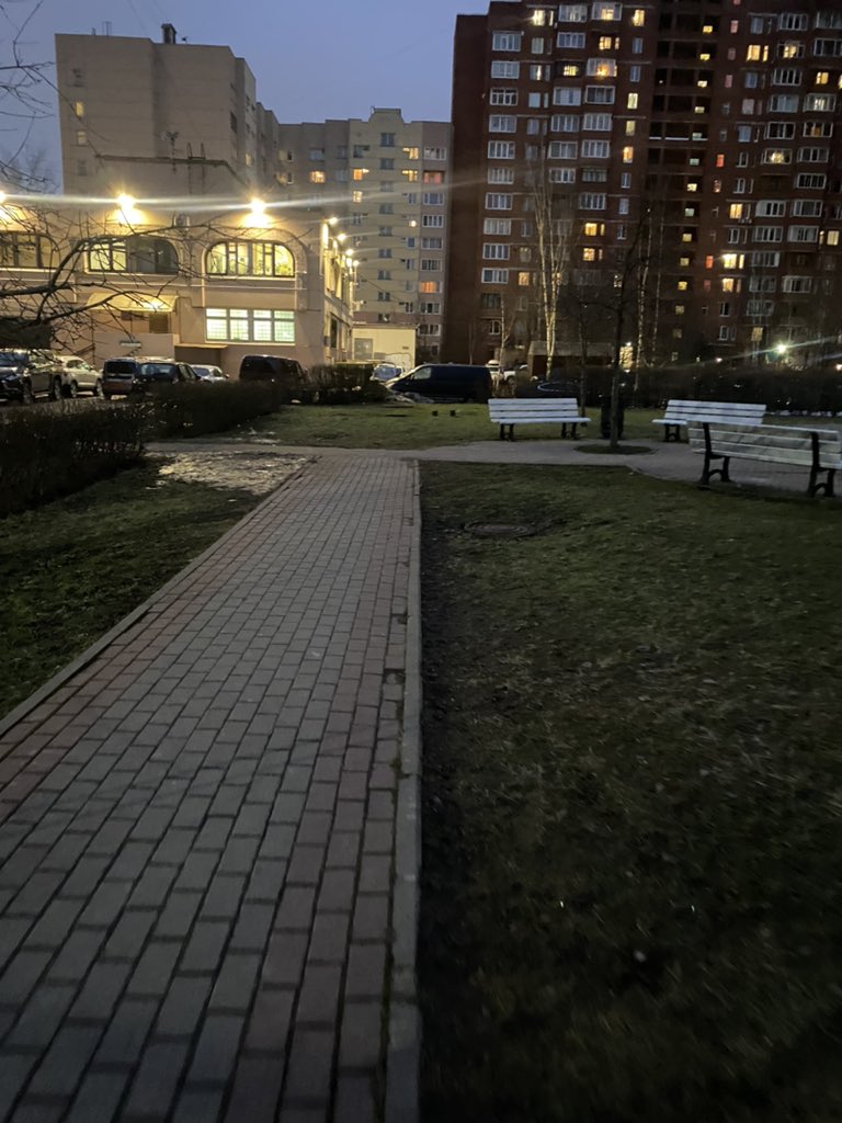 desty_grl's tweet photo. Вот вам и январь в питере https://t.co/k9gZlpmbcO