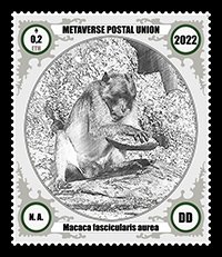 BarBrauner's tweet photo. Did you know that more than half of the existing species of primates are classified as threatened with extinction or already considered extinct. 
#Ape, #Dying, #Apes, #Nature, #Extinction, #Stamp, #Postage, #Metaverse, #Opensea https://t.co/R2Hzoo5kwY