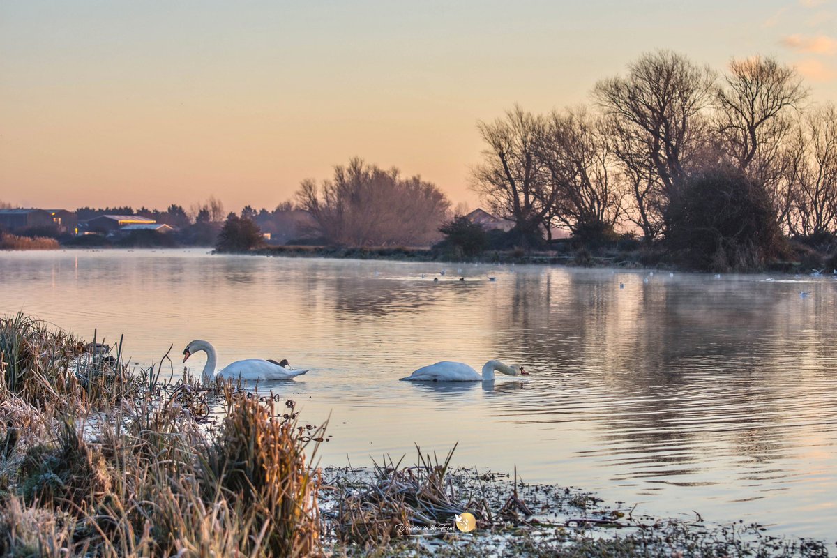 VeronicaJoPo's tweet photo. As the day begun in The Fens, it was fresh -6c, clear, frosty, busy and beautiful βοΈπβοΈ
Ely, Cambridgeshire
#sunrise #landscape #flatnotboring #stormhour https://t.co/oVXOEsQonF