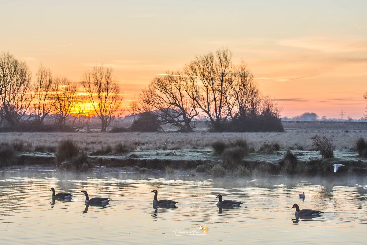 VeronicaJoPo's tweet photo. As the day begun in The Fens, it was fresh -6c, clear, frosty, busy and beautiful βοΈπβοΈ
Ely, Cambridgeshire
#sunrise #landscape #flatnotboring #stormhour https://t.co/oVXOEsQonF
