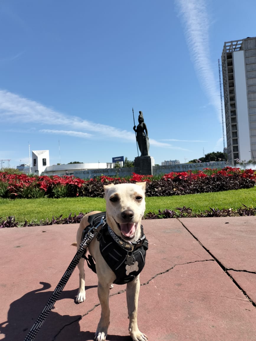 El más guapo del condado