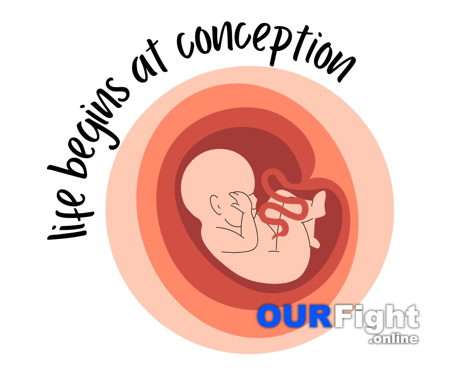 Life begins at conception #lifeBeginsAtConception #defendTheUnborn #ProLife