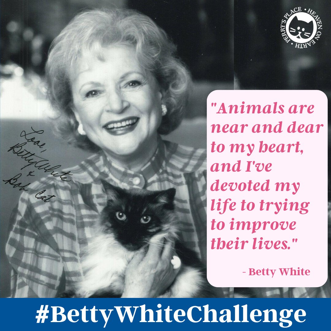 Today would have been Betty White’s 101st birthday. She advocated for animals all her life and was a true friend to all cats.

You can honor Betty’s lifesaving legacy by making a $5 gift to help cats in need today. ❤️

heavenlypets.org/donate/

#BettyWhiteChallenge