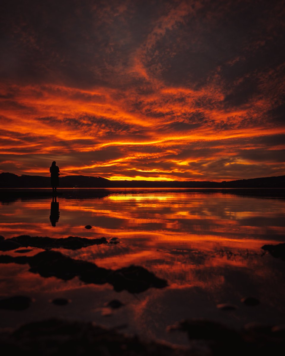 Albert Z. tweet media