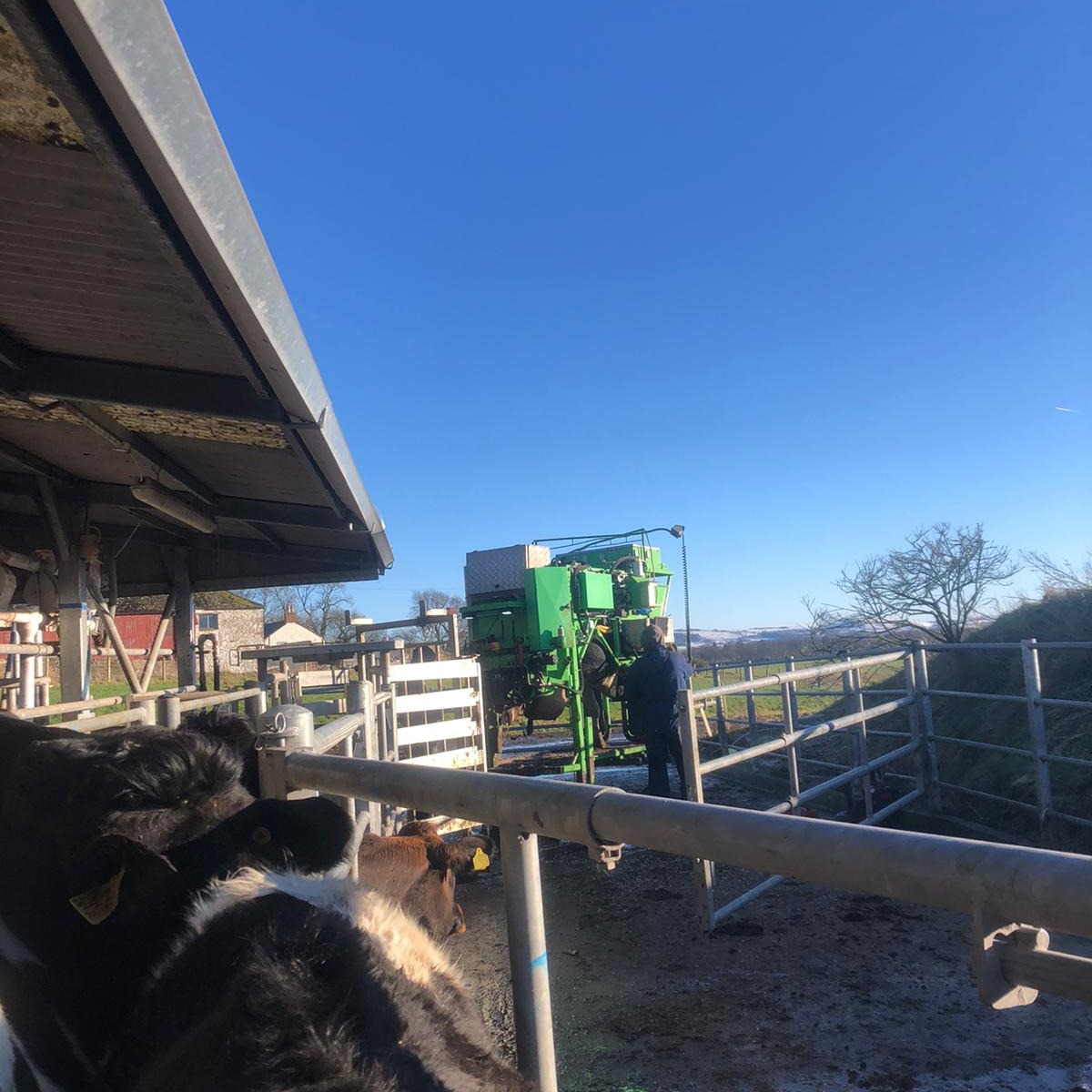 FarmingPartners's tweet photo. A beautiful (if chilly!) day for routine hoof trimming #teamdairy #farm365 #scottishfarming #grasstomilk #happycows #farmingpartners https://t.co/KObug1ex2t