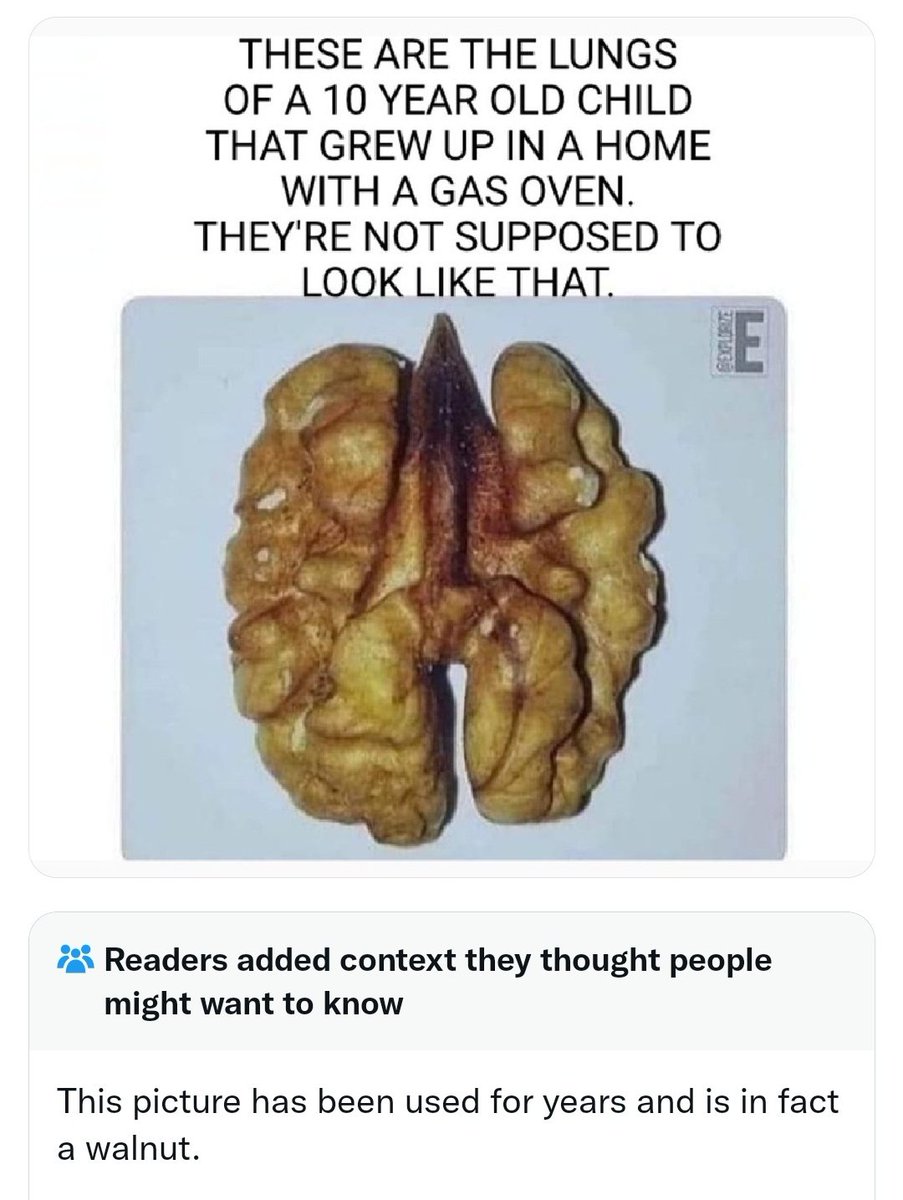 Dr. Eli David tweet media