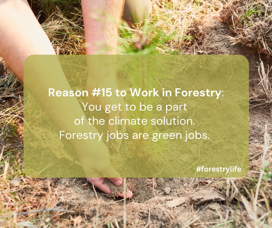 Forestry jobs are green jobs. Trees absorb greenhouse gases from the atmosphere and sequester the carbon in the wood, bark, roots, leaves and branches. Once harvested, that carbon remains stored throughout the wood product's lifespan. #workingforests #forestryjobs #forestrylife
