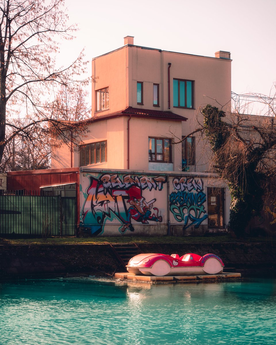 Albert Z. tweet media