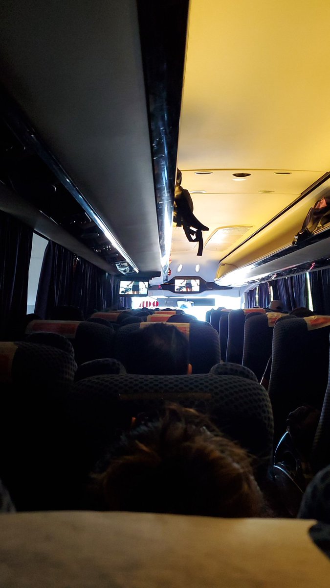capiguevara's tweet photo. Increíble cantidad de moscos en el autobús de @tuADO foco de infección. https://t.co/semoEI9s8l