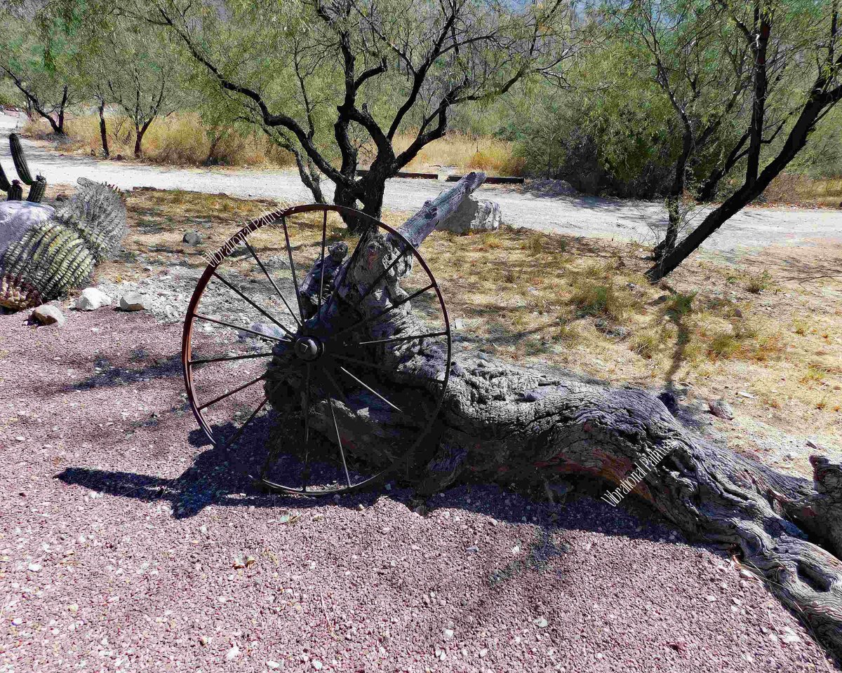 RobieJean1's tweet photo. Old Wagon Wheel - Tanque Verde Guest Ranch - Tucson AZ https://t.co/JpIzCzHIcr #desertLandscape #landscapeScenery #photography #wagonWheel #naturePhotography #desertLifestyle #landscape #nature #treeTump #mysticVenturesPhotos https://t.co/C6PDOEREG4
