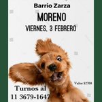 Photo by ACPLA - Asociacion Civil Por Los Animales (@_ACPLA)