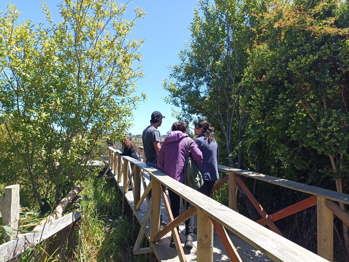 CapitalBiodiver's tweet photo. Hoy cerramos un proyecto hermoso con mujeres de Toltén, con la agroecología como herramienta para rescatar flora nativa, mejorar las huertas familiares, hacer comunidad y fortalecer liderazgos. Un proyecto que posible gracias a @Fmaradentro y las expertas que nos acompañaron. https://t.co/bvyPDku58l