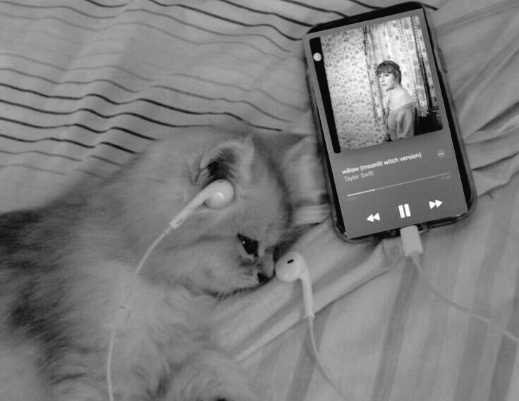 elixirfard's tweet image. ازم میپرسن خوبی؟ میگم توپ، هیشکیم نمیفهمه، توپم سوراخه و افتاده گوشه حیاط...