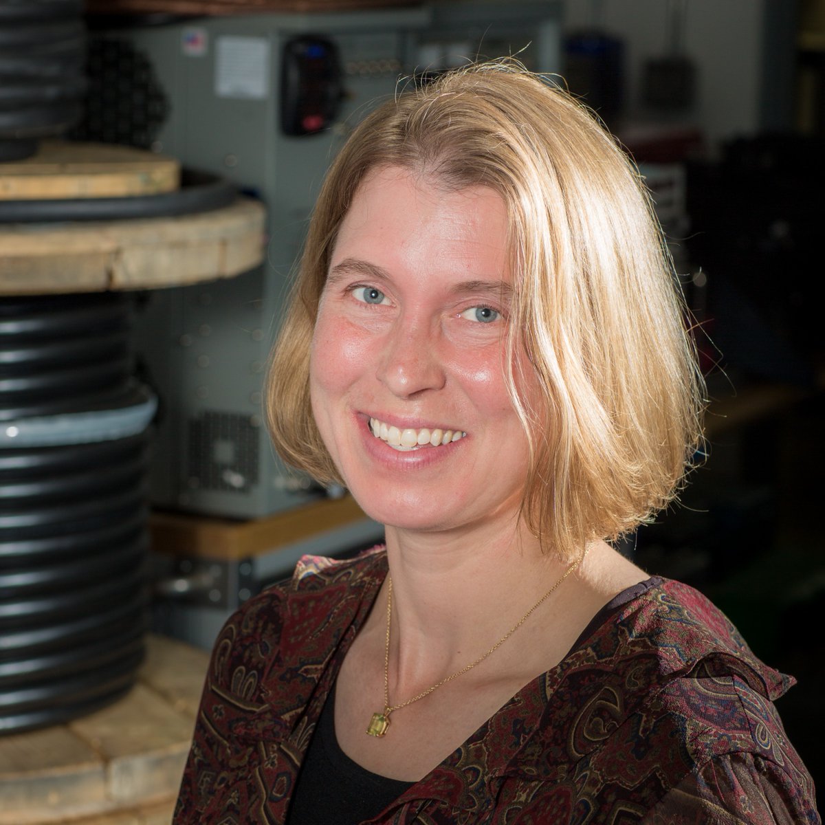Meet our new director, Dr. Erin Whitney! She comes to us from @NREL and <a href="/ACEPUAF/">ACEP</a> and is excited to bring the Arctic to <a href="/ENERGY/">U.S. Department of Energy</a> and <a href="/ENERGY/">U.S. Department of Energy</a> to the Arctic! We thank our former director, George Roe, for his leadership! More: energy.gov/arctic