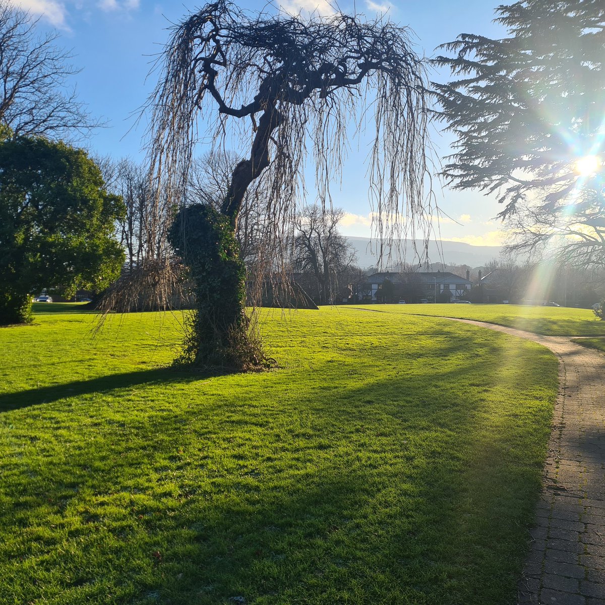 GraingerAnna's tweet image. Today was definitely one of those 🥶 days to enjoy 'the bright side of the road'. 🎶 Subconsciously, it's always been an automatic for me! 🌻 Day 17 of #100daysofwalking ✨️ #BKNT