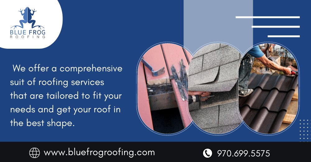 Blue Frog Roofing (@BlueFrogRoofing) / Twitter