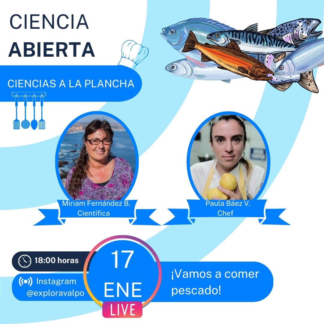 Mabel_Keller's tweet photo. #CienciasALaPlancha sobre recursos marinos, pesca sustentable y más, en IG Live junto a la Dra Miriam Fernández de ECIM @ucatolica y @nucleo_nutme y la chef Paula Baez de restaurante @trespecescl HOY martes 17/1 18h en insta #exploravalpo junto a @gianinol 📽🔴 https://t.co/ZQf9abs7tg