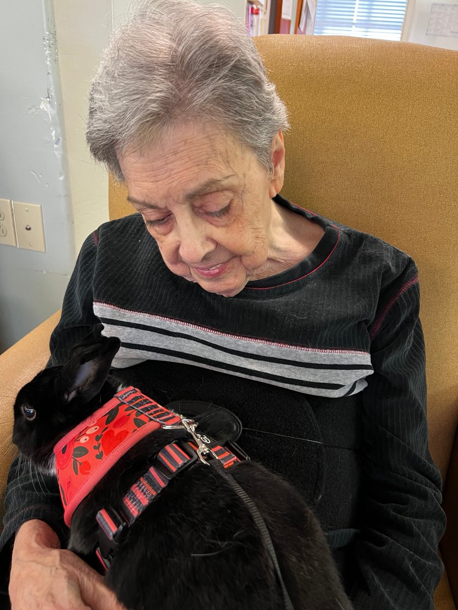 PCSCSeniors's tweet photo. #ColumbiaPresbyterianCommunity residents love furry Fridays with our registered therapy bunny, Matilda. #SeniorLivingBunny https://t.co/8ktU5f0ho8