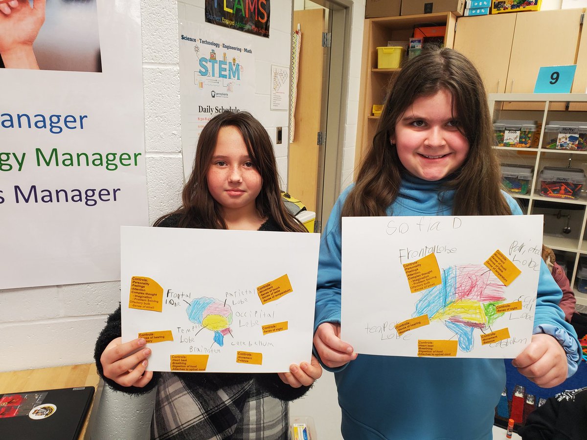 LachLachj's tweet photo. Inspiriring a #growthmindset  with the @PLTW Biomedical/Human Brain module and by problem solving using Beebots in STEAM class! #Montourproud @MontourSD https://t.co/6aIy83v15Q