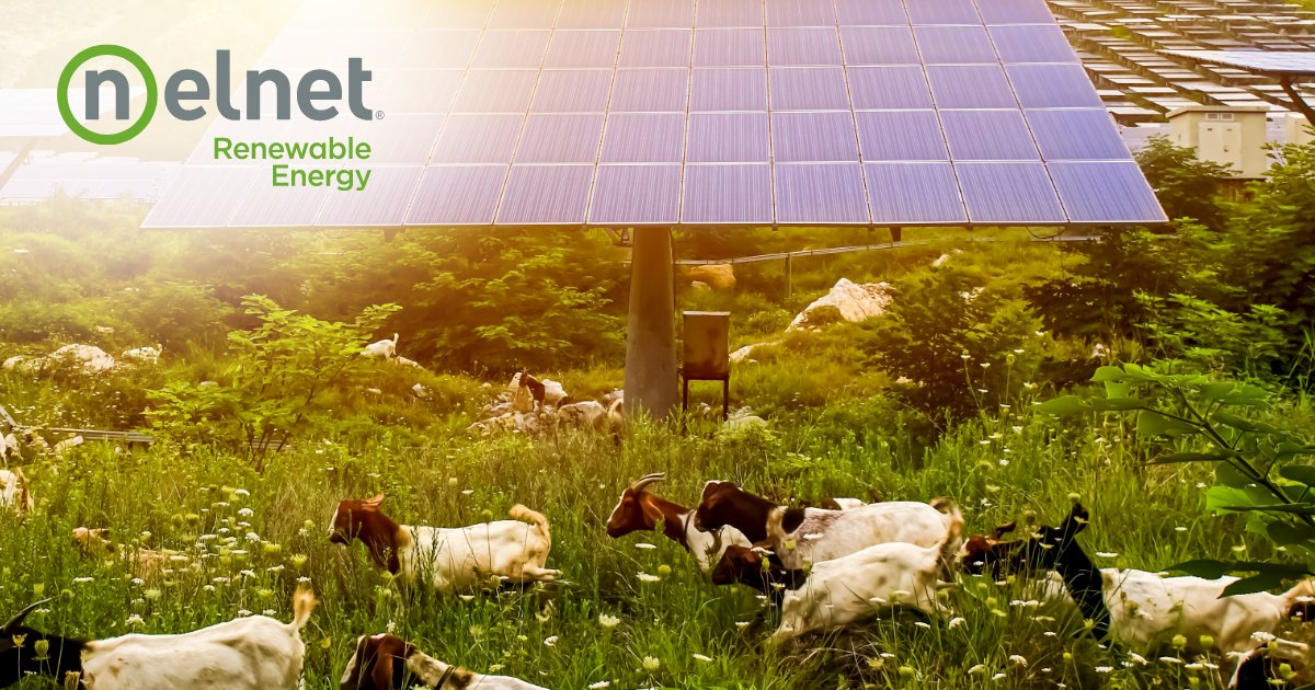 Here’s a riddle for you – what crop does a solar farm produce?

Solar energy harnesses the power of the sun to produce clean energy. You may be surprised to learn that community solar projects also help produce other crops, providing additional benefits.

bddy.me/3XiEpEu