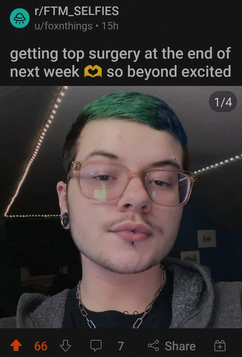 Males of Reddit (and their Ws) (@malesreddit) on Twitter photo 