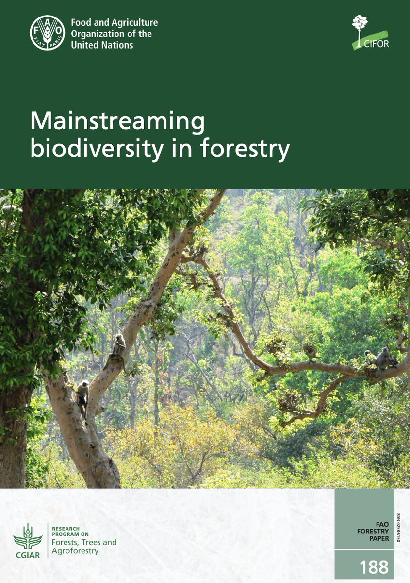 TheLandAlliance's tweet photo. 🌳 Mainstreaming biodiversity in forestry

📚 This report reviews progress &amp; outlines the technical and policy tools available for countries and stakeholders to effectively mainstream biodiversity in forestry.

Full issue➡️: https://t.co/y9DX68GqCP

#Trees4Resilience @FAO @CIFOR https://t.co/xibGRHl9GP