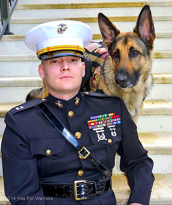 Leashes of Valor tweet media
