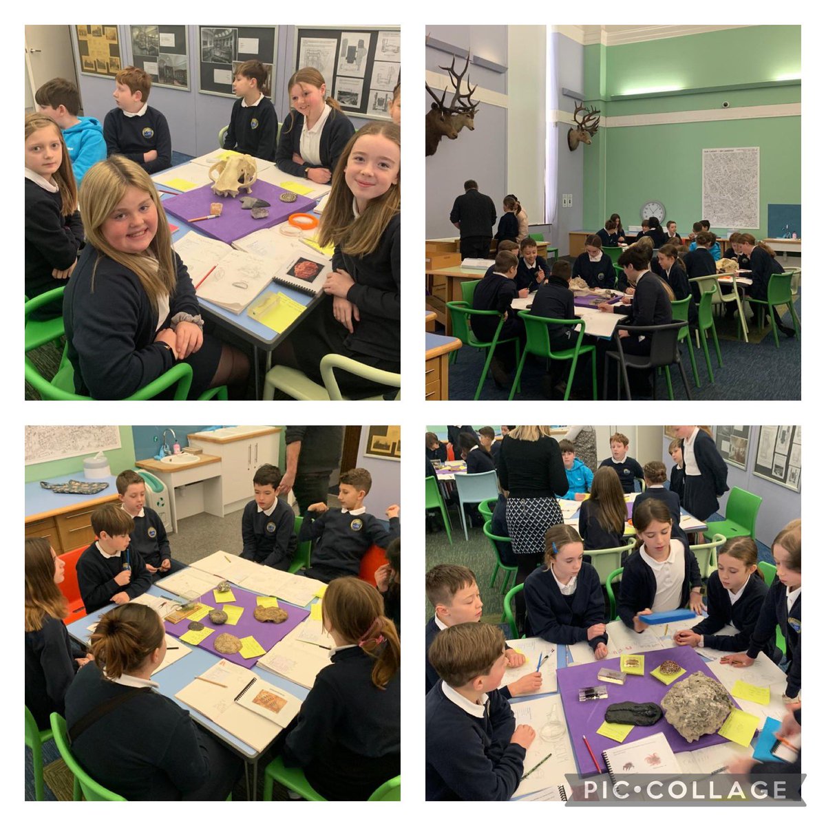 SullyPS's tweet photo. #spsyear6 had a fascinating day creating their own exhibition & finding out about evolution & natural history at #NationalMuseumCardiff #spsscienceandtechnology https://t.co/IHsalqakxI