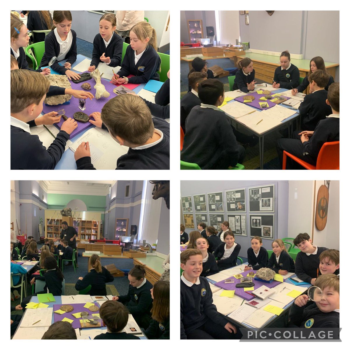 SullyPS's tweet photo. #spsyear6 had a fascinating day creating their own exhibition & finding out about evolution & natural history at #NationalMuseumCardiff #spsscienceandtechnology https://t.co/IHsalqakxI