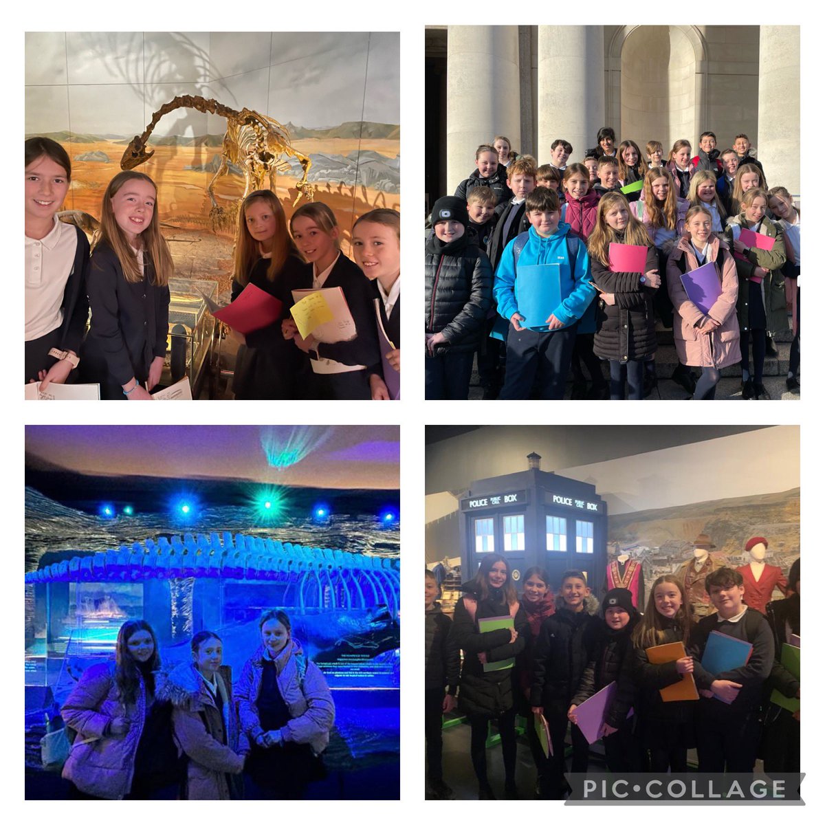SullyPS's tweet photo. #spsyear6 had a fascinating day creating their own exhibition & finding out about evolution & natural history at #NationalMuseumCardiff #spsscienceandtechnology https://t.co/IHsalqakxI